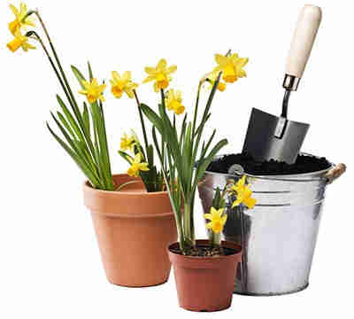 BW-PLASTIC FLOWER POT 1904