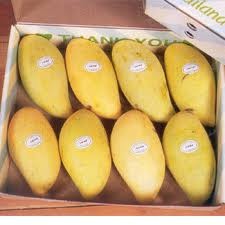 Mangoes