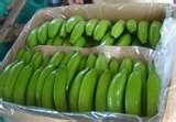 fresh banana/ green grade