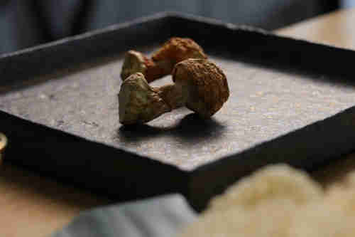 Yubo Garden sulphurless Agaricus matsutake 250g original ecological produce