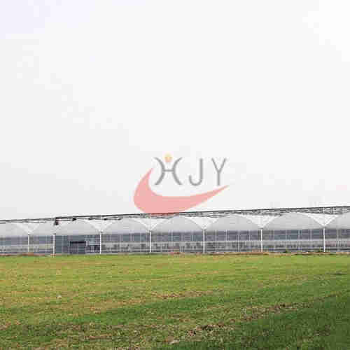  Agriculture Plastic Large Multi Span Greenhouse for Sale 