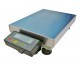 100kg 1g Precision Weighing Platform Scale