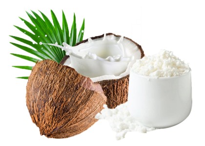Davidsun Coconut Products