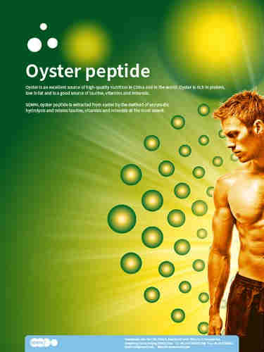  High Quality China Suppliers Oyster Peptide
