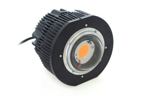  Cree 100w 200w Cob Led Grow Lights With Cree Cxb 3590 Chips And Meanwell Driver