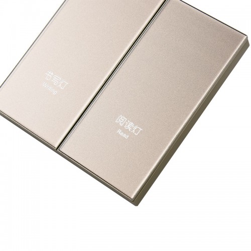 2 Gang Wifi Switch