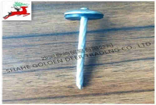 Hooded round head 70mm high 4mm thick spikes