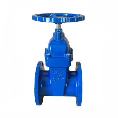 F4 3352 Ductile Iron Gate Valve