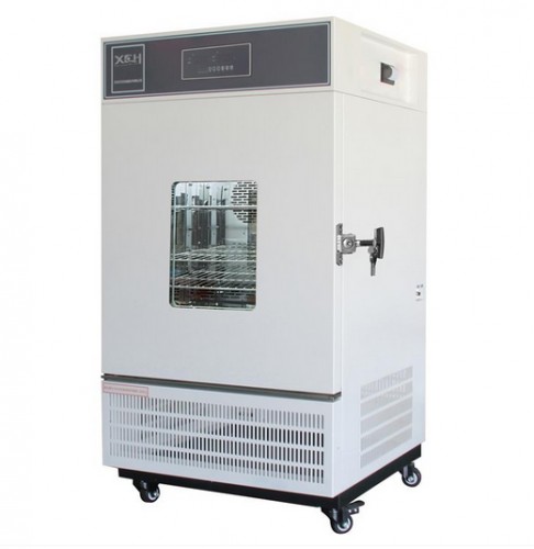 Biochemical Incubator