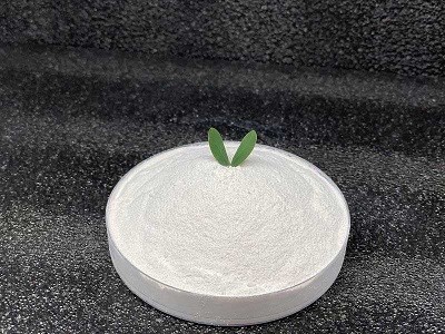 Precipitated Calcium Carbonate - Paint Filler