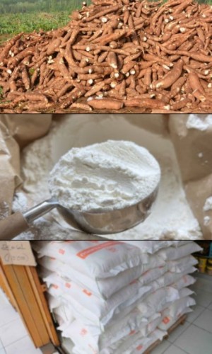 Cassava, Wheat and Multipurpose Flour 