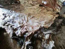 Donkey hides for sale