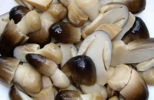 Salted Straw Mushroom