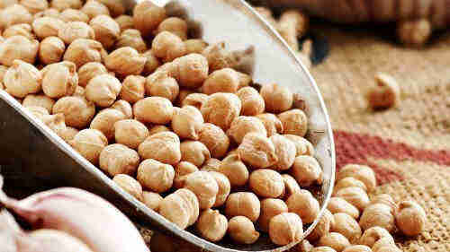 chick peas seeds for sale 