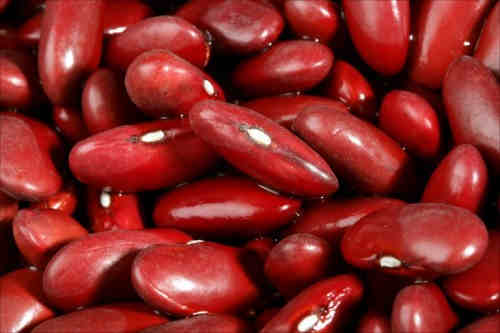 Kidney beans