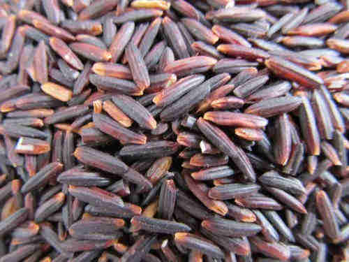 Vietnam Organic Black Rice / Herbal Purple Rice From Vietnam With High Quality