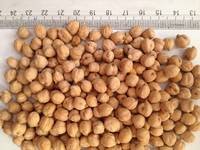 Buy Kabuli Chickpeas/Red Lentils /Kidney Beans