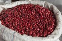 Kidney Red Beans, Kidney White Beans