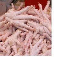 Chicken Feet,Wings,Drumsticks,Tighs,Filet,Available Grade A Nd B