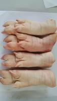 Frozen Pork Ear /Frozen Pork Feet / Frozen Pork Tail