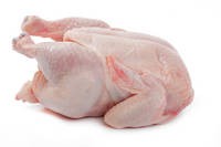Frozen Chicken Paw/Chicken Feet/Whole Frozen Chicken/Chicken Wings/Gizzards/Chicken Breast 