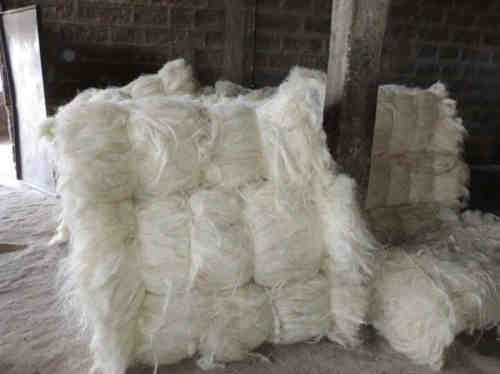 DRY SALTED DONKEY HIDES WITH HEADS,EARS,TAILS,LIMPS