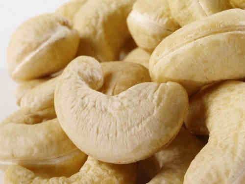 RAW AND PROCESSED CASHEW NUTS FOR SALE