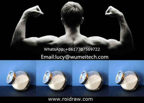 email: lucy@wumeitech.com  99% USP Anabolic Steroid Hormone Bodybuilding Powder Testosterone Enan