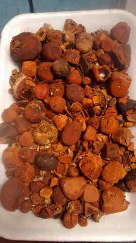 Ox Gallstones