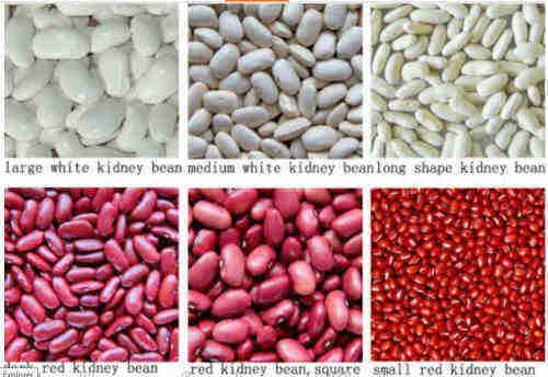 High Quality Dark Red Kidney Bean /Red Kidney Beans/Dried Kidney Beans