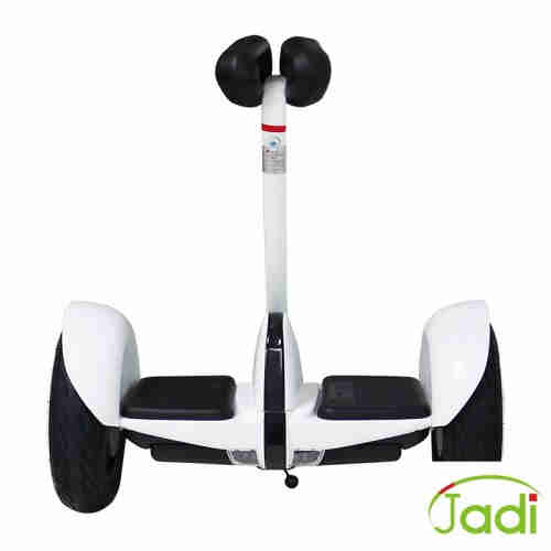 10 INCH TIRE SIZE AND 3-4H CHARGING TIME 60V 700W SELF BALANCE SCOOTER