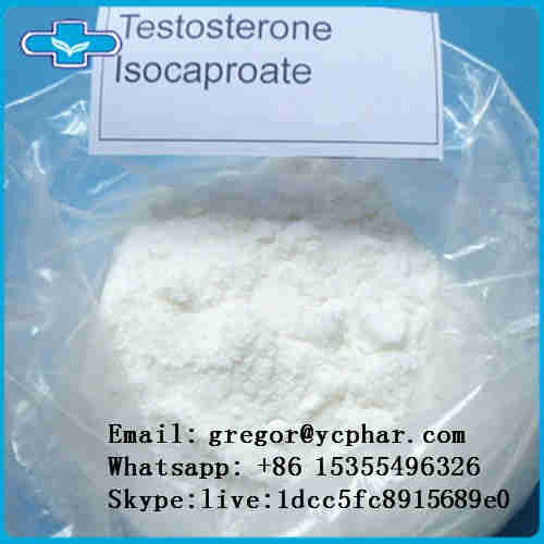 Testosterone Isocaproate
