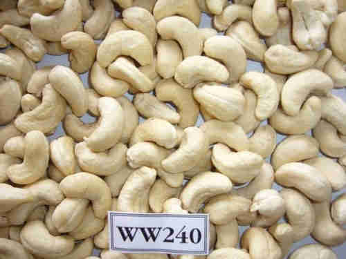 Raw Cashew Nuts, Almond Nuts, Pine Nuts, Pistachio Nuts, Pecan Nut, Speanuts, Macadamia Nuts, Hazeln