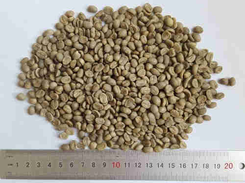Grade A Arabica Green Coffee Beans