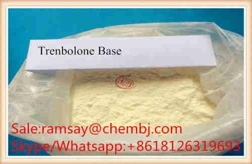 99.0%High Purity Trenbolone Base CAS 10161-33-8 Factory Direct
